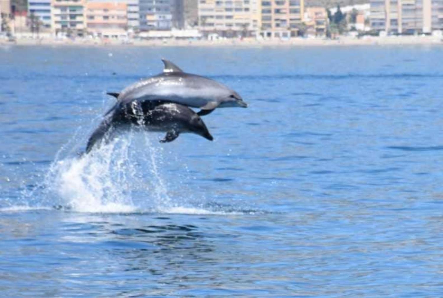 Primera Linea Del Mar - Acceso Directo Playa Carihuela トレモリノス エクステリア 写真